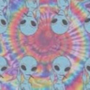 Meet your Posher, Cati